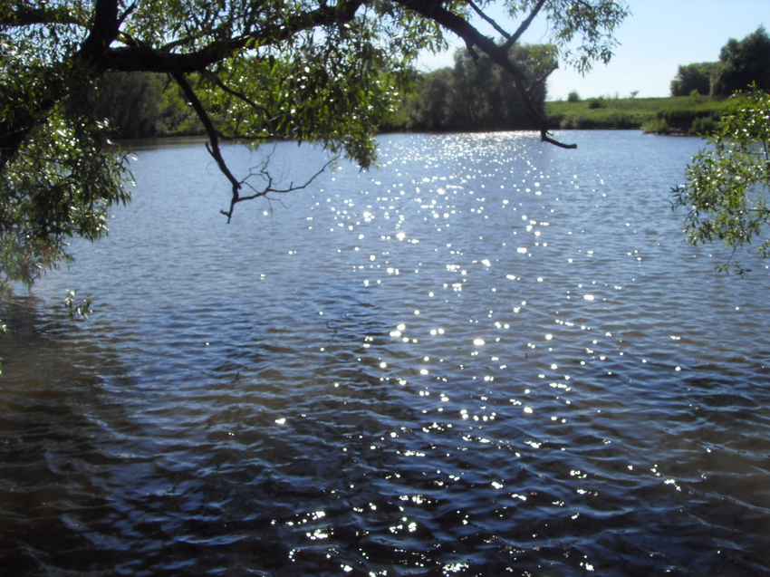 Заводской пруд