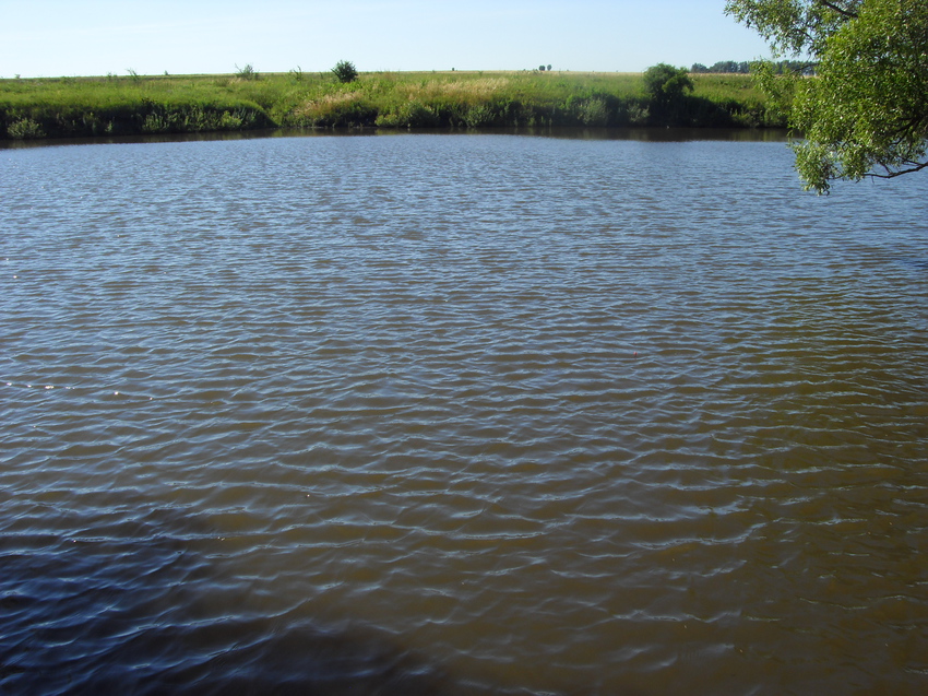 Июль. Заводской пруд