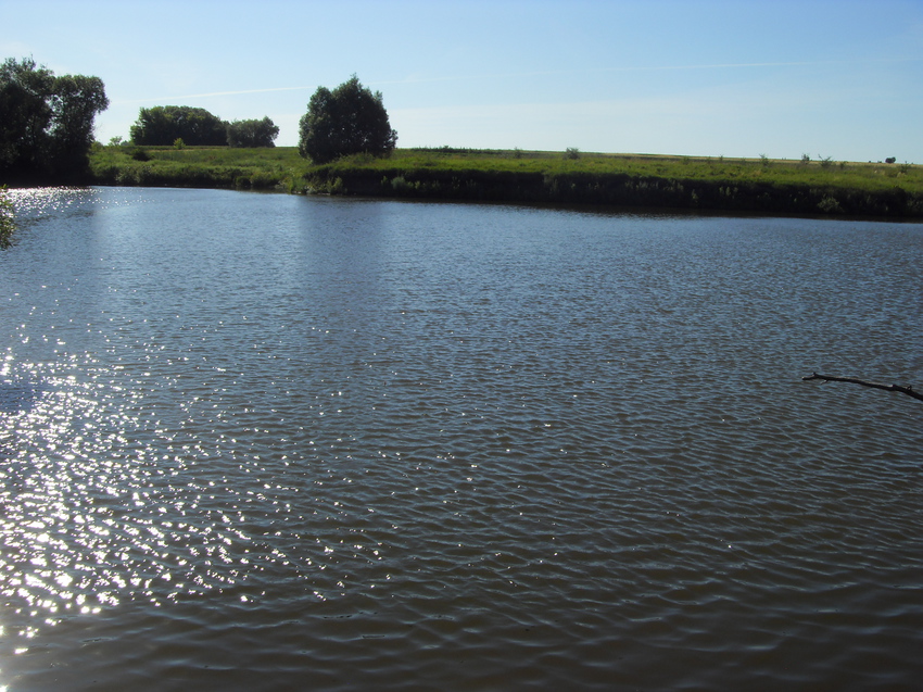 Солнечные блики