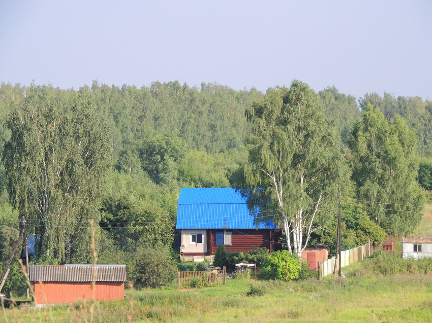 Деревня Спицыно