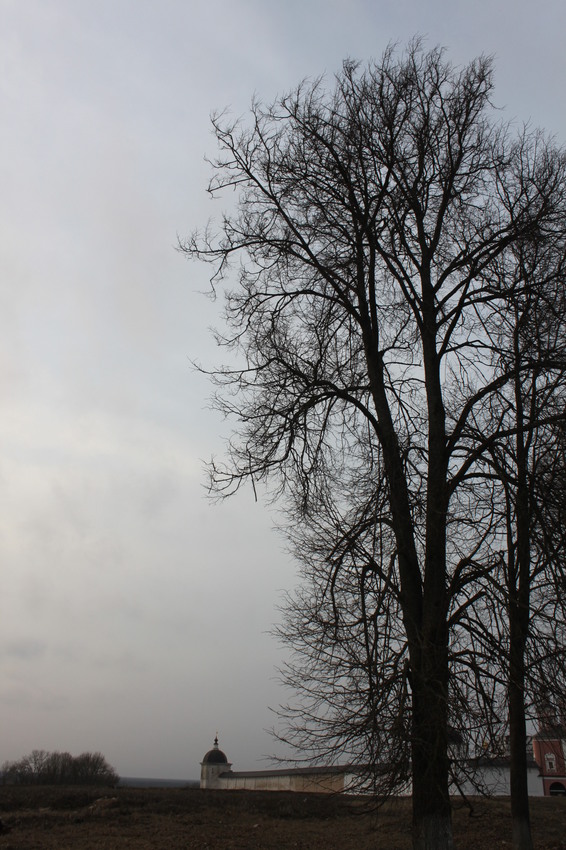 Супонево. Свенский Свято-Успенский монастырь.