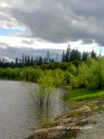 Село Хомустах верхневилюйского района