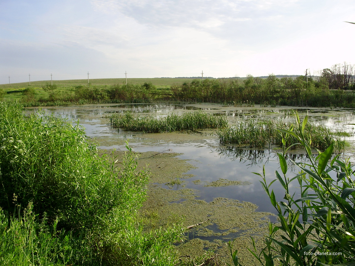 пруд Самарка