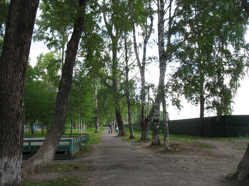 Сыктывкар 2015