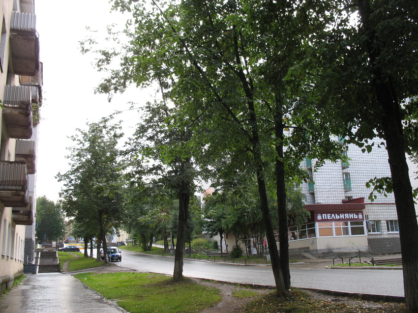 Сыктывкар 2015