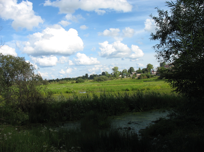 Сыктывкар 2015