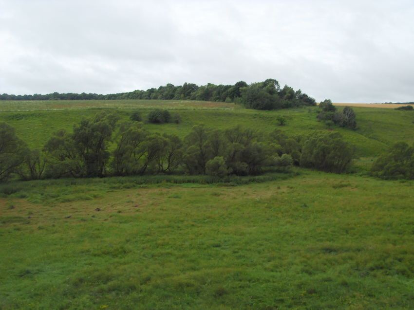 Берёзовец. Вид на местность высохшей речушки Суровки