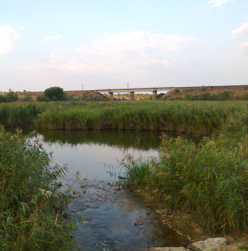 Шилова балка біля Козацького. Вигляд залізничного моста від греблі приватного ставка