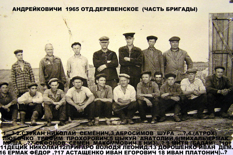 1965 Г.Андрейковичи,Бригада плотников отд.Деревенское