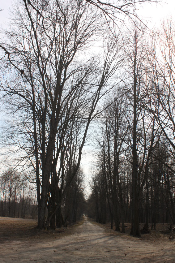 Красный Рог. Усадьба А.К. Толстого.