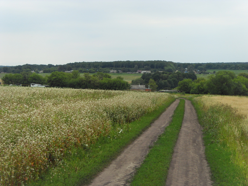 Затишье. Вид на Красное