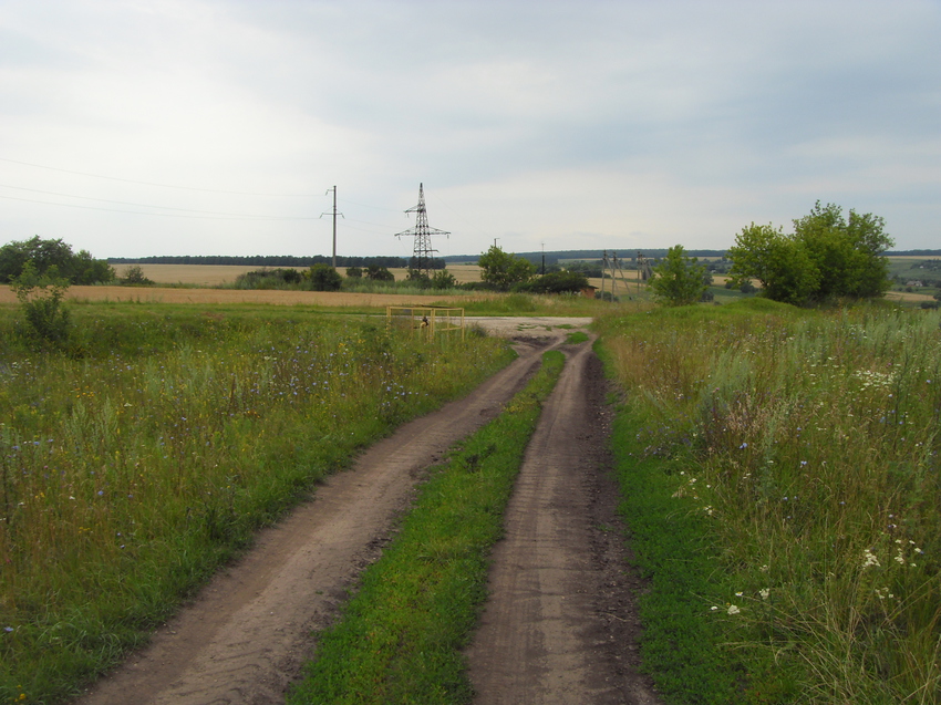 Дорога на основную трассу