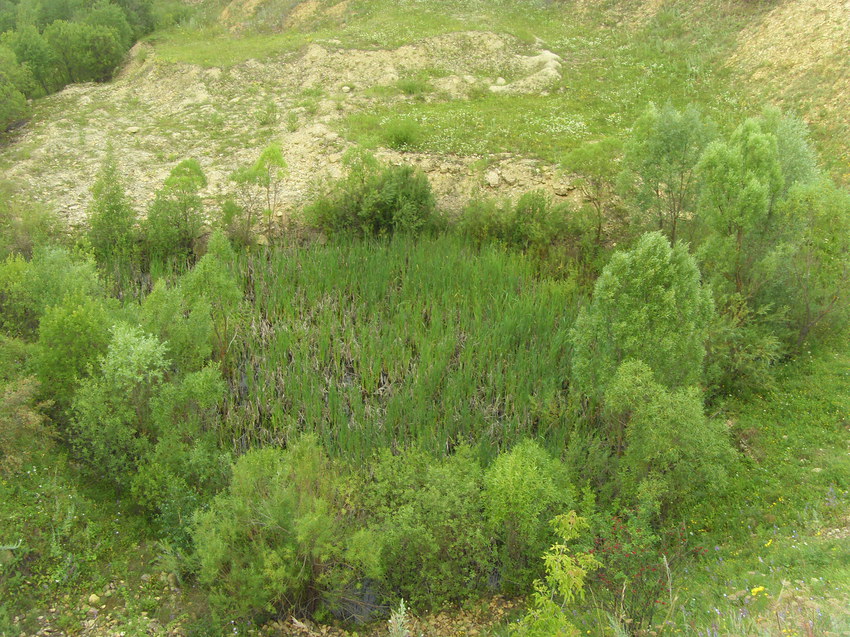 Затишье. Глубокий котлован