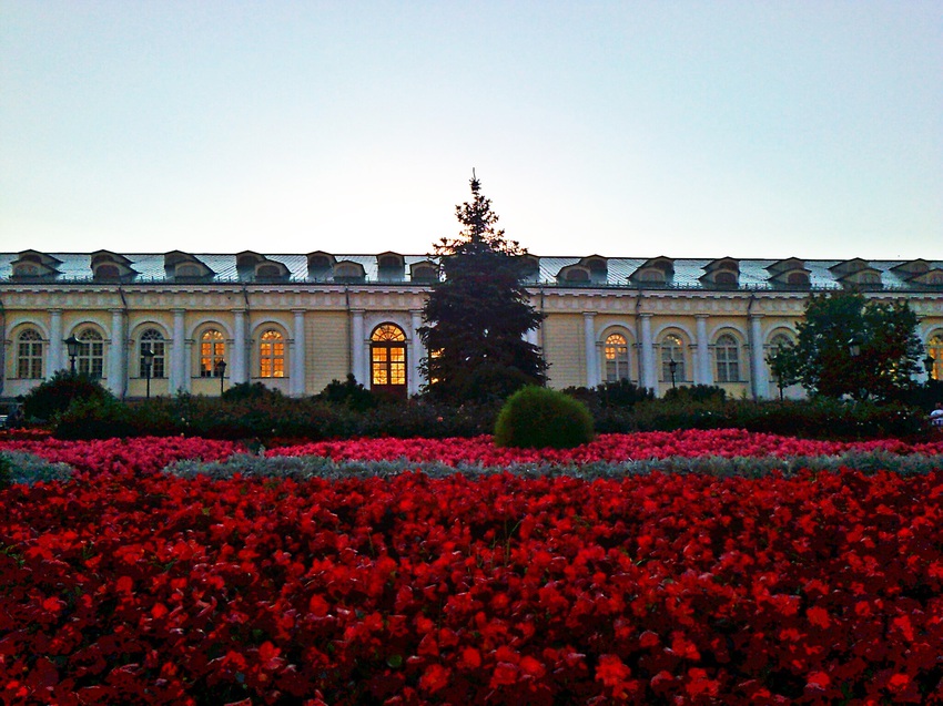 Цветочная клумба в Александровском саду.