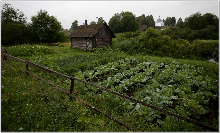 Огородик.