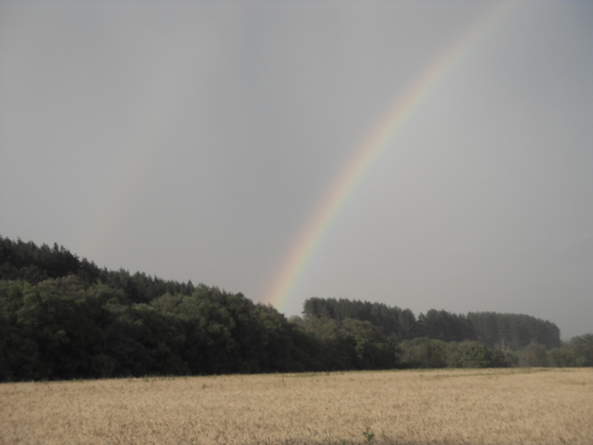 После дождя