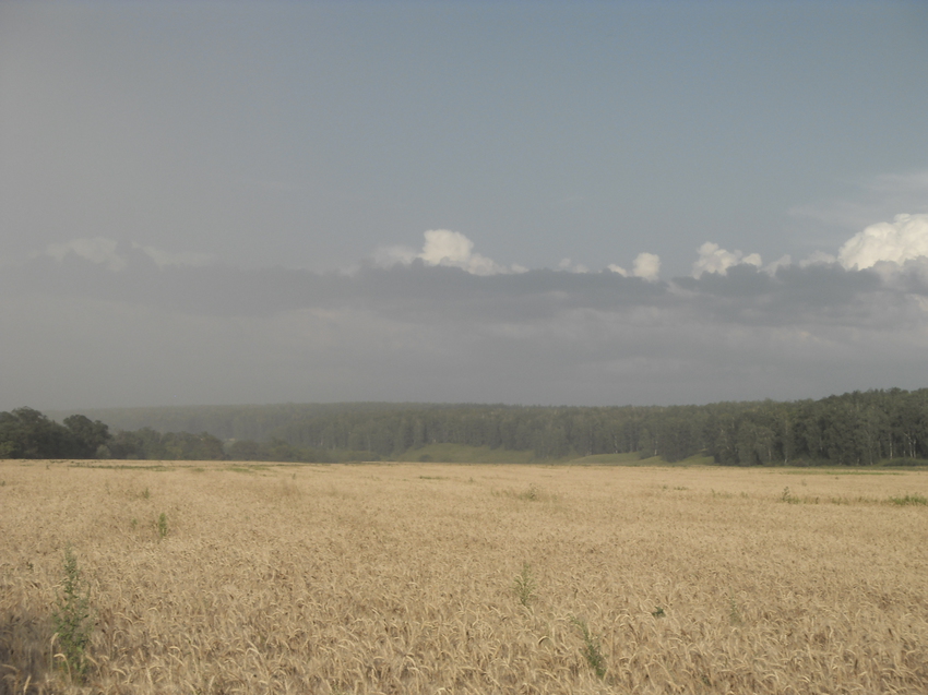 Надвигается дождь