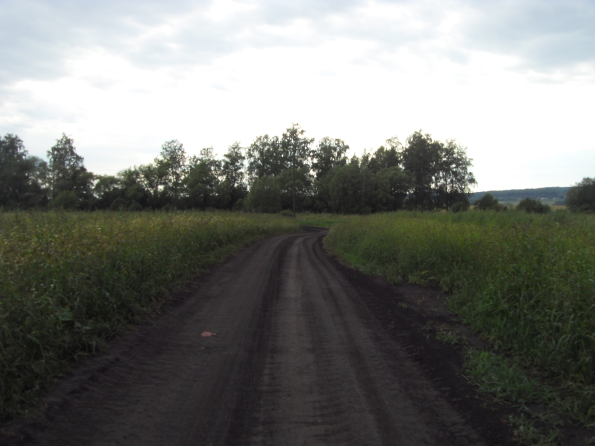 Грунтовая дорога