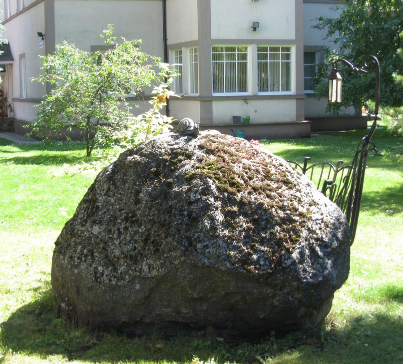 Усть-Нарва, улитка