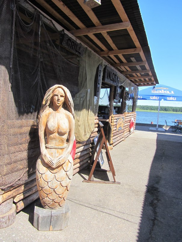 Усть-Нарва, кафе на территории бывшего рыбосовхоза