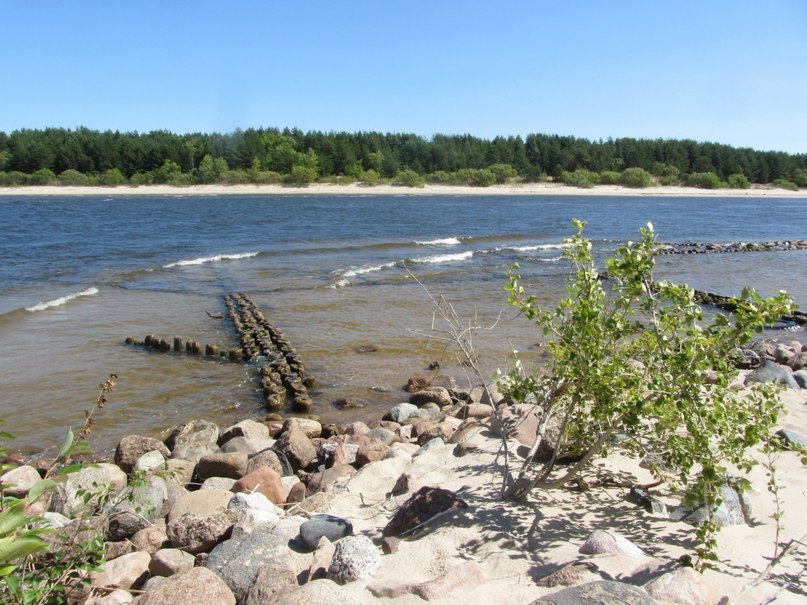 Усть-Нарва, берег реки, другой ракурс