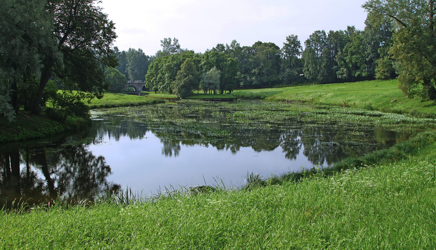 Река Славянка