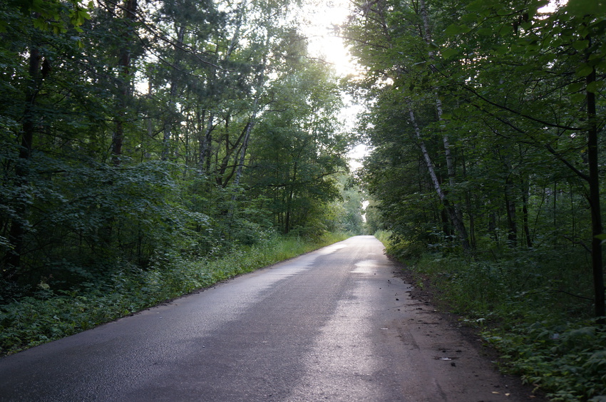 Ступинский лесопарк