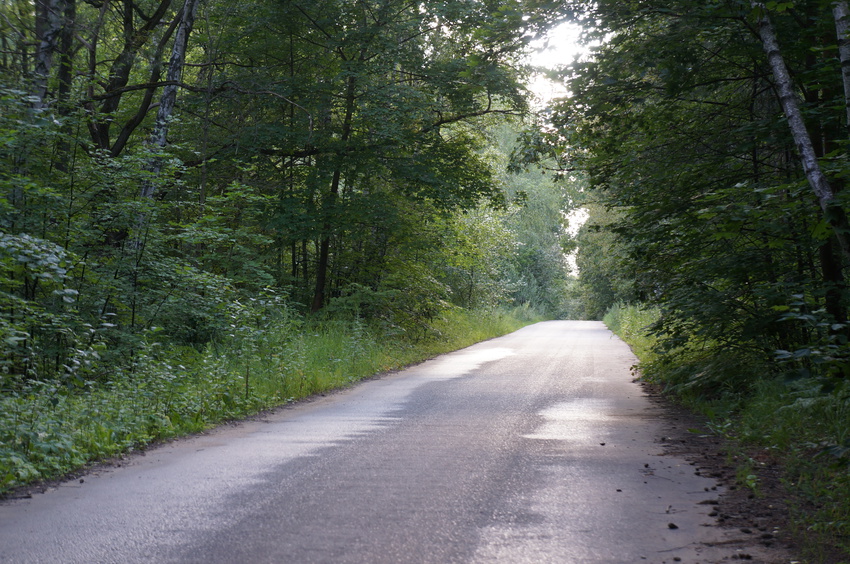 Ступинский лесопарк