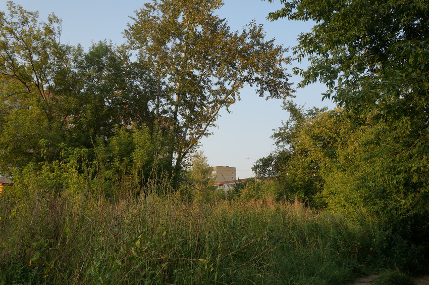 Тургенева улица