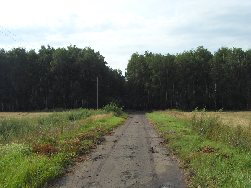 Дорога в лагерь