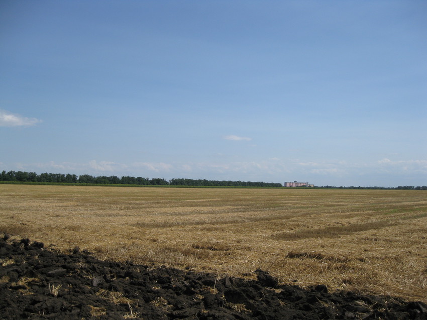 Вид на убранное поле пшеницы и здание элеватора близ железнодорожной станции Степная, июль 2015 года.