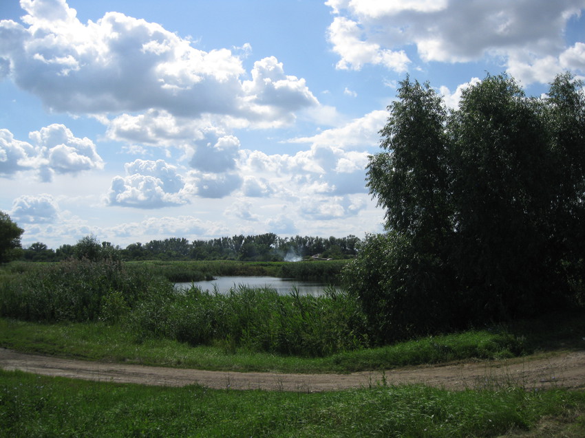 Вид с проезжей части на пруд хутора Тауруп Второй, июль 2015 года.