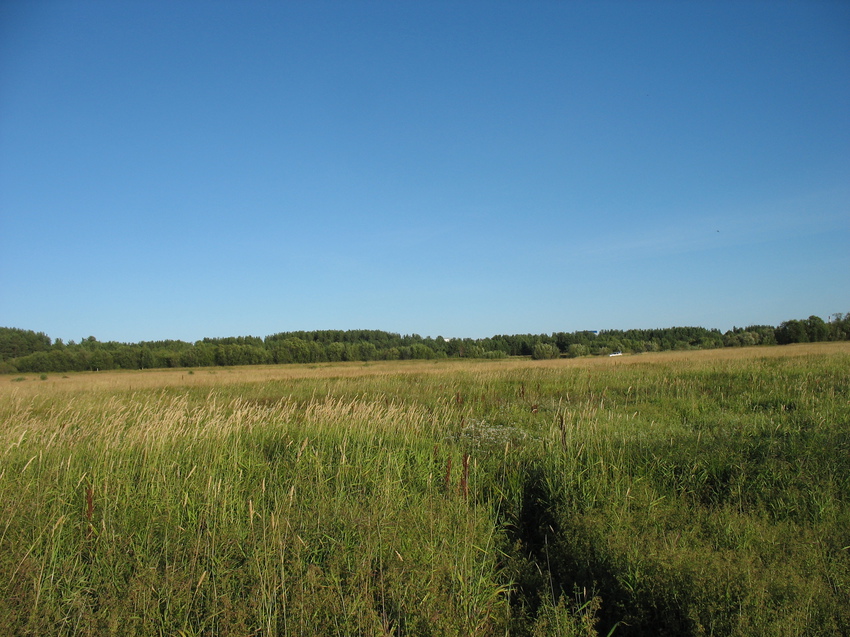 Сыктывкар 2015 - на Красную гору