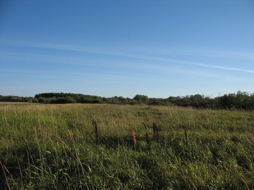 Сыктывкар 2015 - на Красную гору