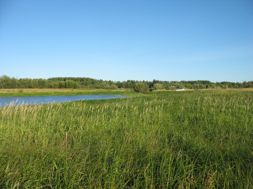 Сыктывкар 2015 - на Красную гору