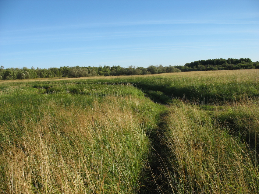 Сыктывкар 2015 - на Красную гору