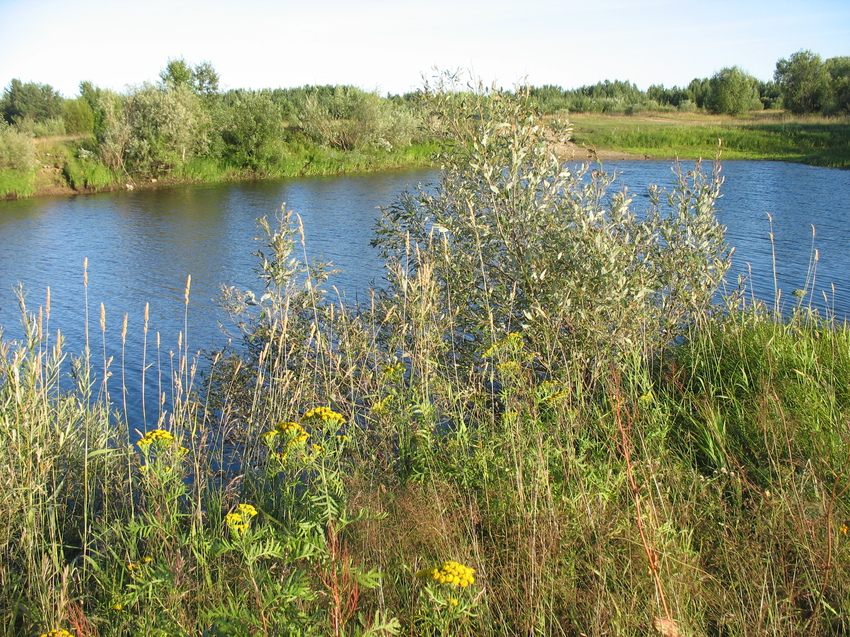 Сыктывкар 2015 - на Красную гору