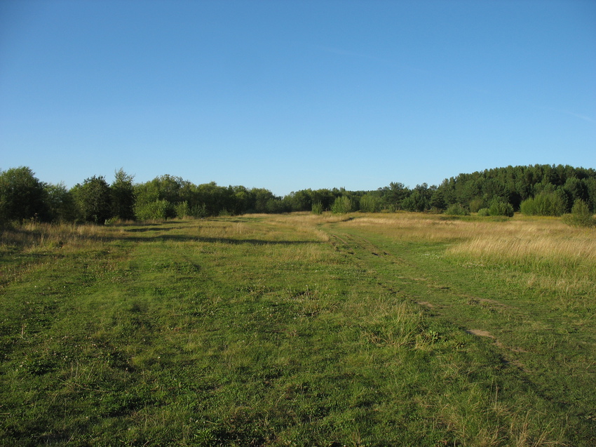 Сыктывкар 2015 - на Красную гору