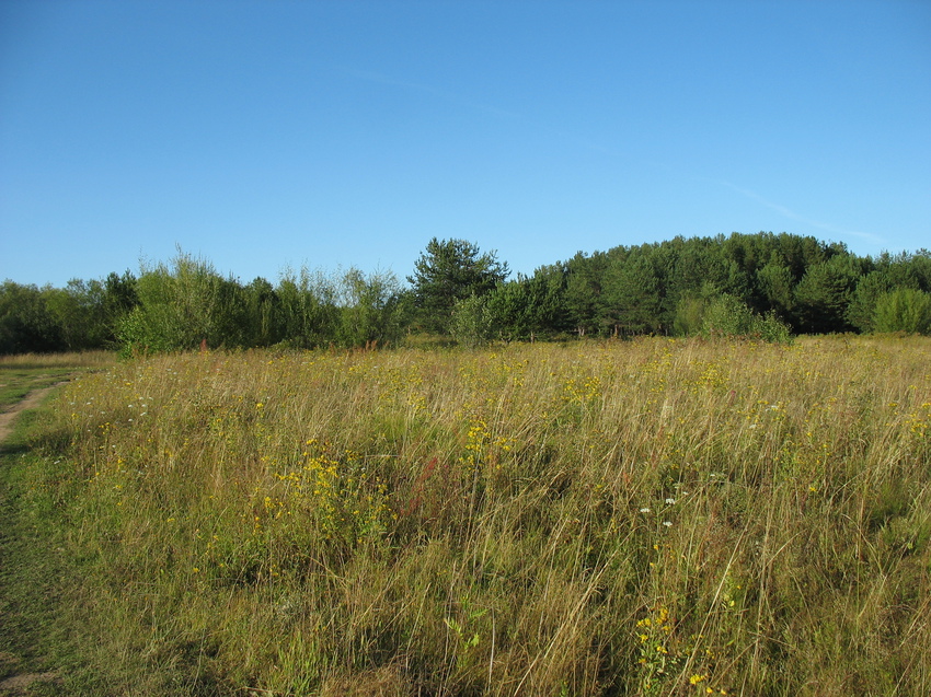 Сыктывкар 2015 - на Красную гору