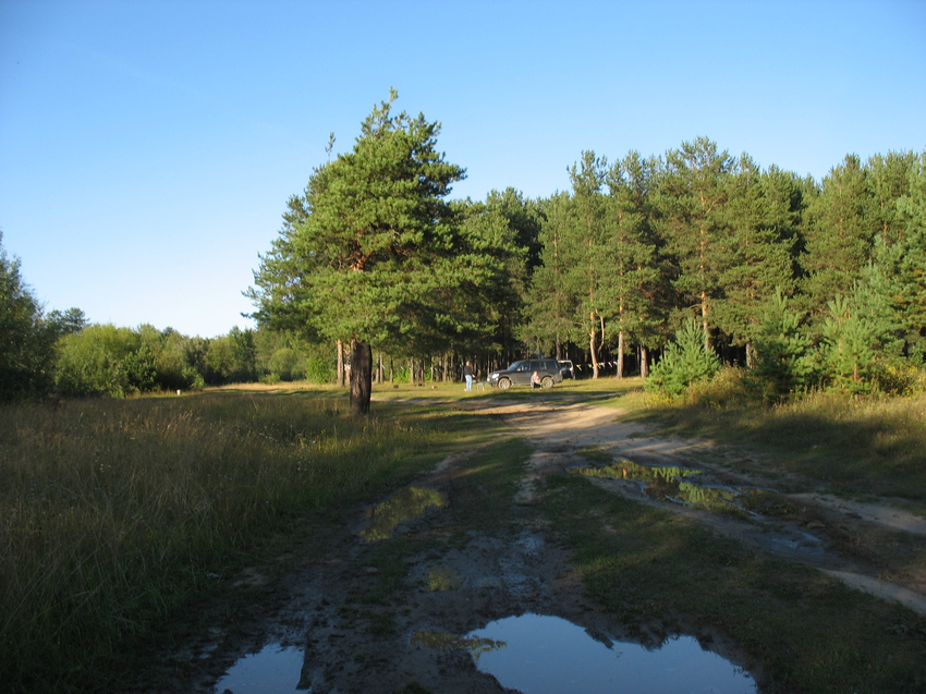 Сыктывкар 2015 - на Красную гору