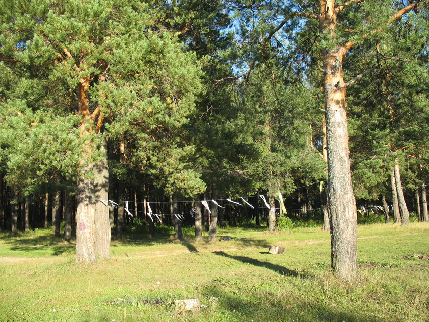 Сыктывкар 2015 - на Красную гору