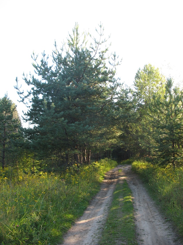 Сыктывкар 2015 - на Красную гору