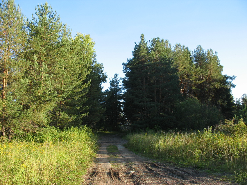 Сыктывкар 2015 - на Красную гору