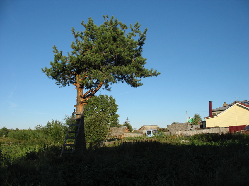 Сыктывкар 2015 - Красная гора