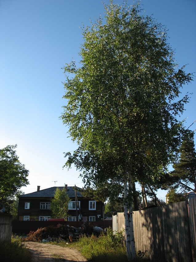 Сыктывкар 2015 - Красная гора