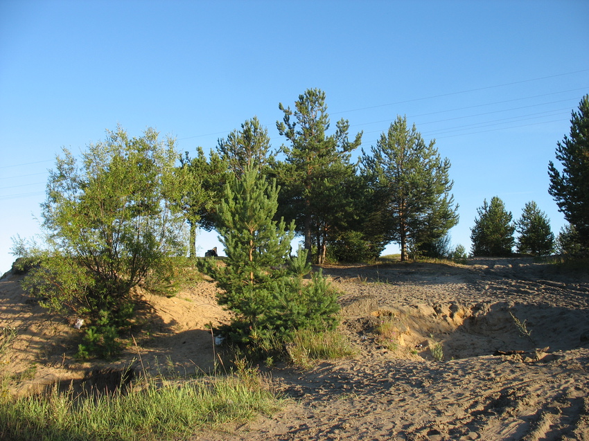 Сыктывкар 2015 - Красная гора