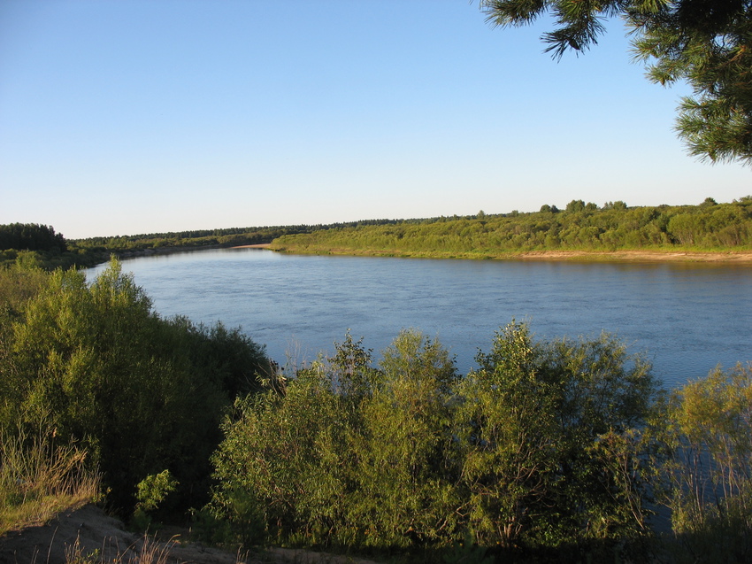Красная гора сыктывкар