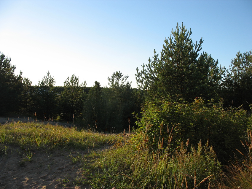 Сыктывкар 2015 - Красная гора