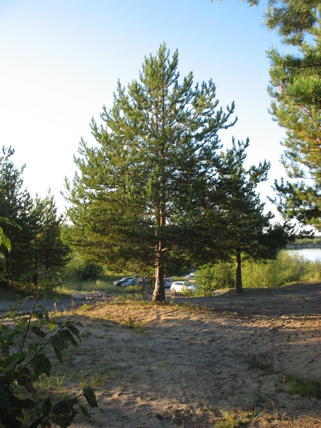 Сыктывкар 2015 - Красная гора