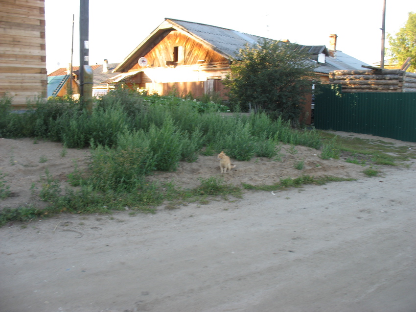 Сыктывкар 2015 - Красная гора